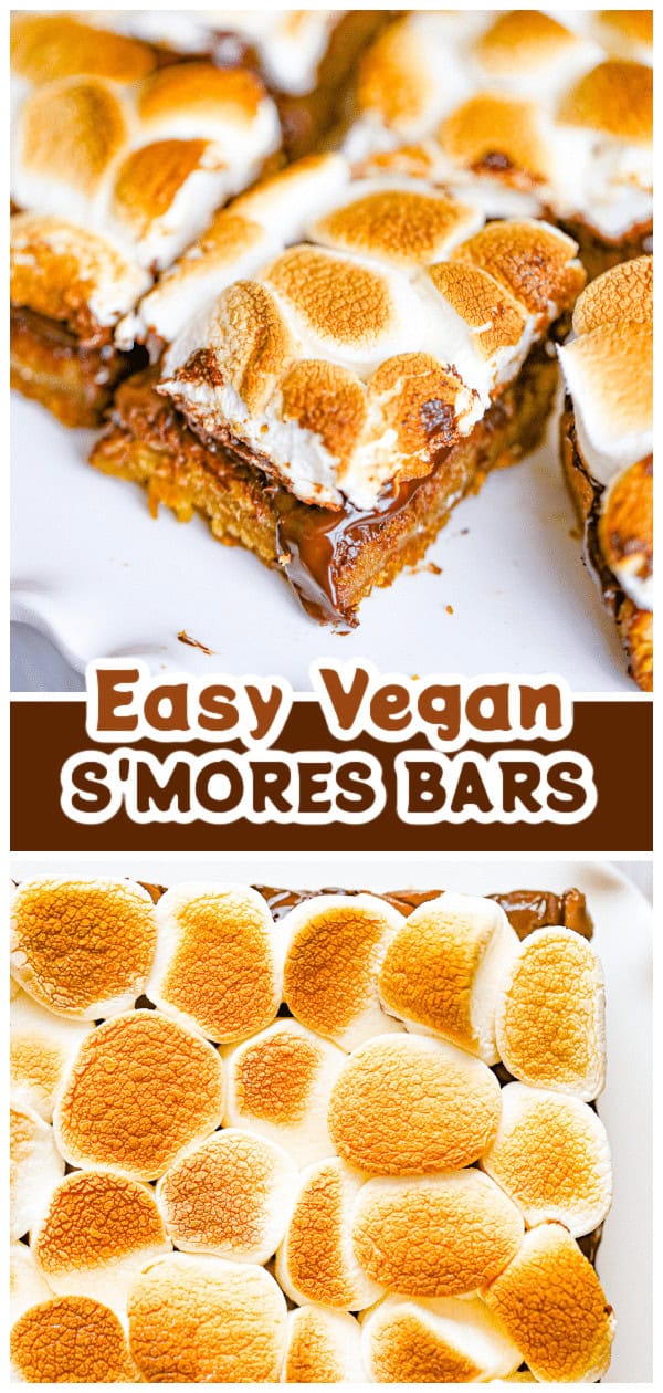 graham cracker, marshmallow chocolate treats
