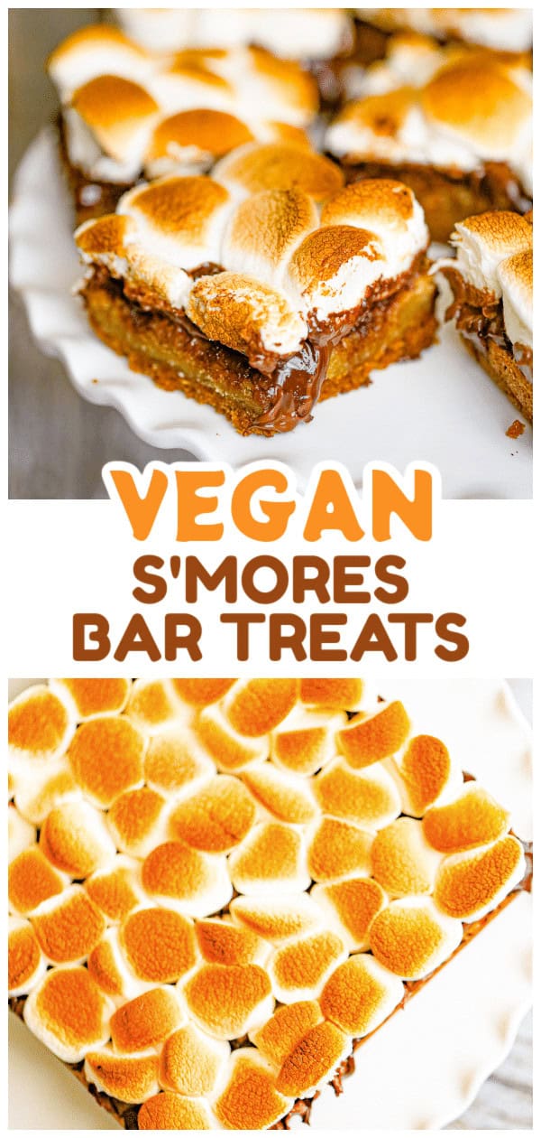 graham cracker, marshmallow chocolate treats