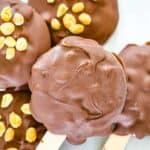 Easy Vegan Chocolate Peanut Butter Buster Bars