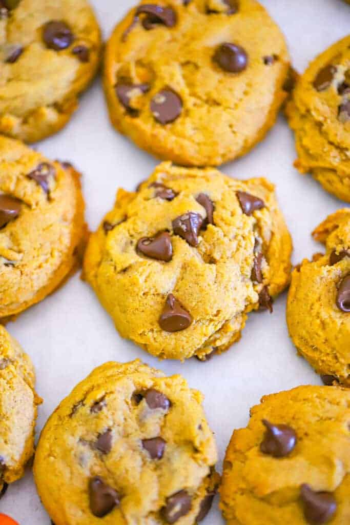 Vegan Pumpkin Chocolate Chip Cookies