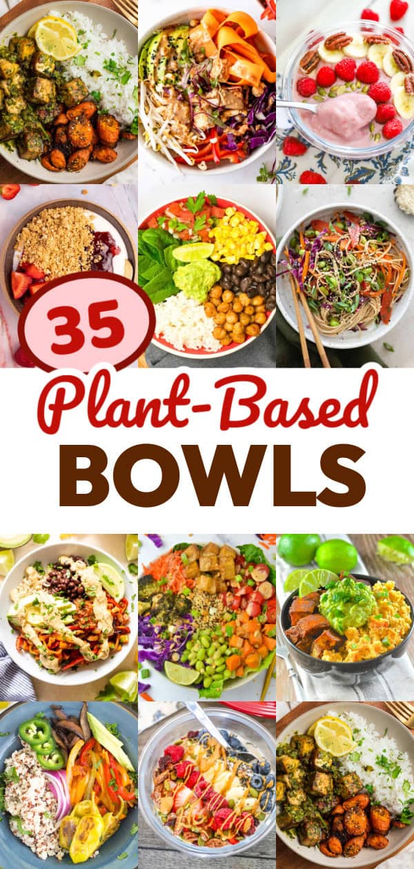 PLANT BASED FOOD