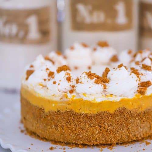 vegan pumpkin biscoff cheesecake