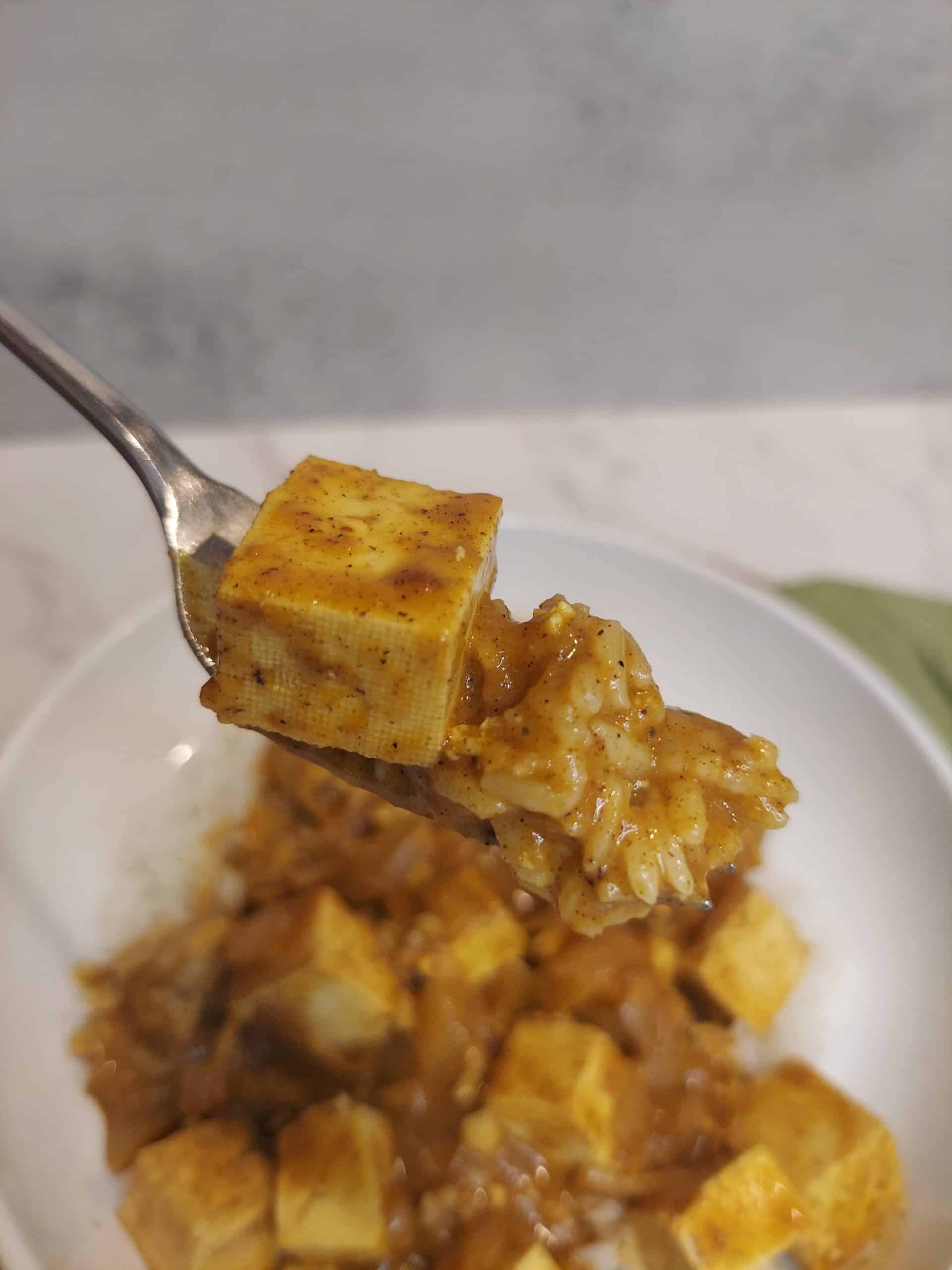 fork holding a bite of butter tofu and saucy rice
