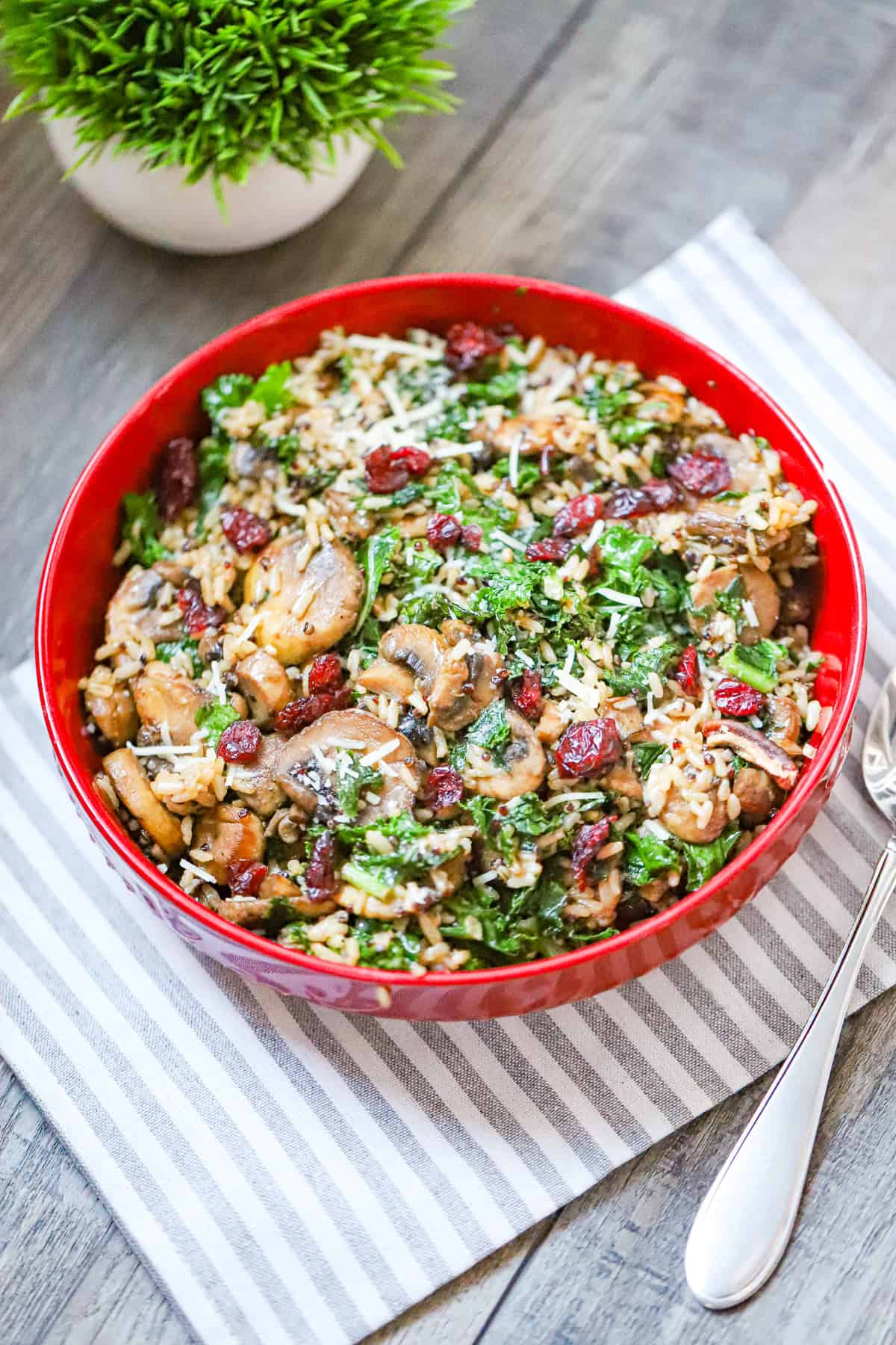 vegan mushroom quinoa bowl served warm with cranberries