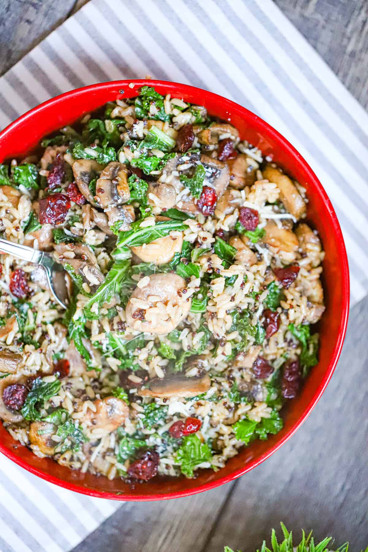 kale mushroom quinoa bowl topped with vegan parmesan and cranberries