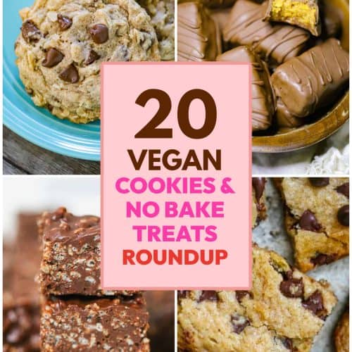 20 VEGAN COOKIES & NO BAKE TREATS ROUNDUP
